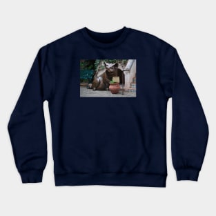 Eat More Beef Crewneck Sweatshirt